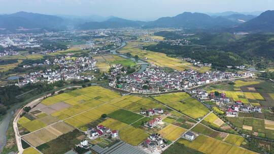 大同建德万亩稻田田园风光 4K航拍