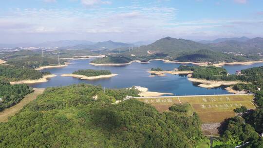 航拍水库湿地公园湖泊森林树林自然风景环境