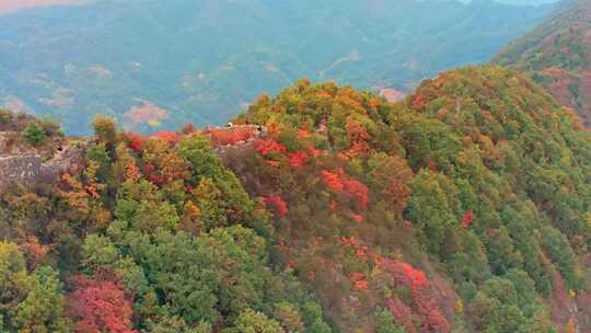 秦岭森林秋色