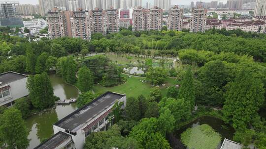 上海植物园航拍品种绿色植被4K航拍