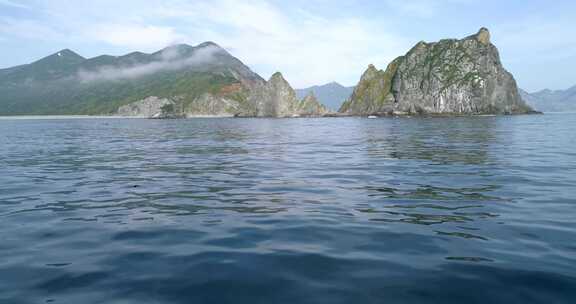 海面拍摄海豚游泳