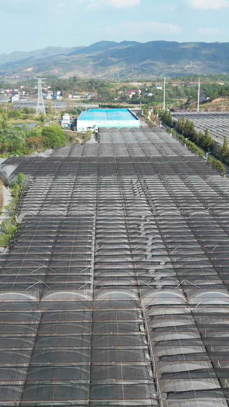 竖版航拍现代农业大棚蔬菜种植基地