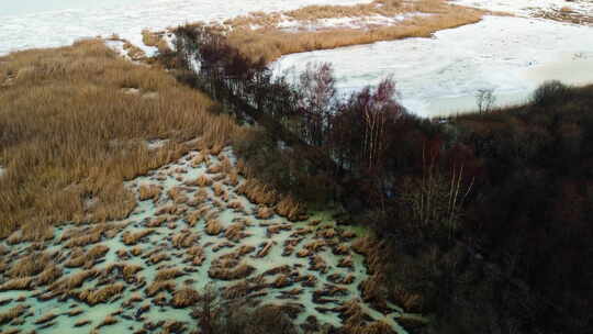 冬季冻芦苇床和淹没的森林沼泽，空中
