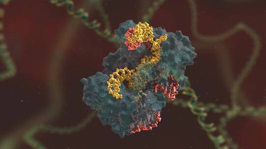 生物科学 基因编辑 DNA 基因工程 医学动画