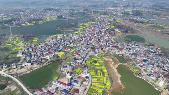 九江市都昌县周溪镇鄱阳湖湿地航拍自然风光