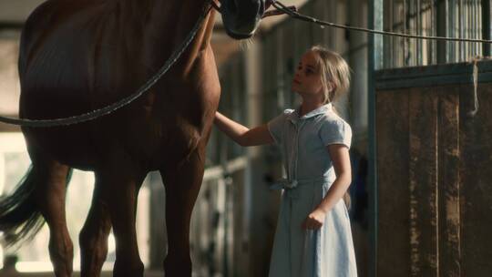 女孩在马厩刷马毛