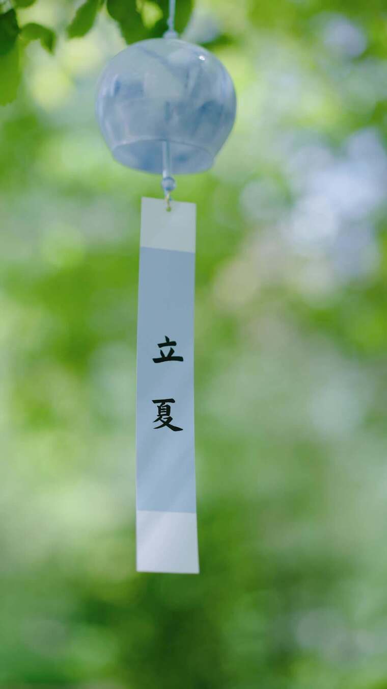 立夏竖版  立夏节气 夏日小清新 唯美夏天