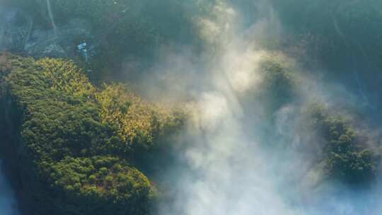 高山森林晨曦云海晨雾生态环境航拍