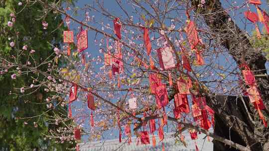 寺庙祈祷祈福牌视频素材模板下载