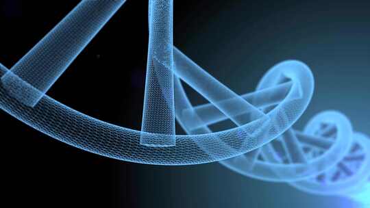 DNA链条染色体