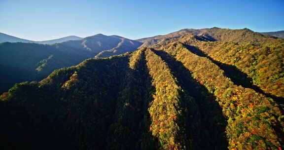 陕西秦岭秋景五彩