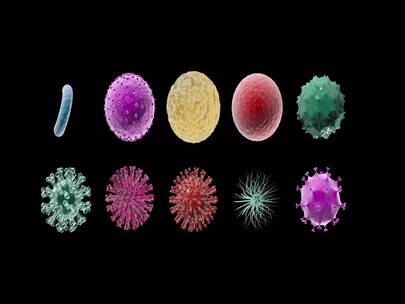 08三维3D细菌病毒模型