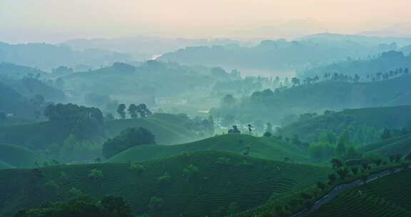 茶园茶山美丽乡村