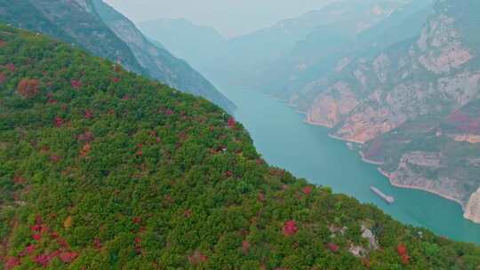 长江三峡巫峡红叶