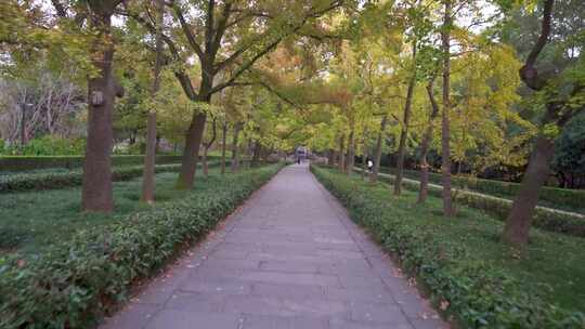 南京明孝陵景区石象獬豸雕塑