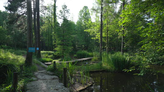 中国科学院武汉植物园湿地植物区