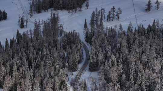 新疆北疆阿勒泰喀纳斯冬季雪景童话世界航拍