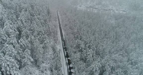 航拍森林冰雪