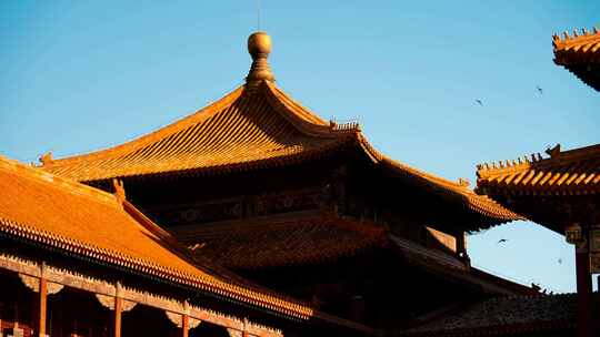 北京故宫延时历史文化