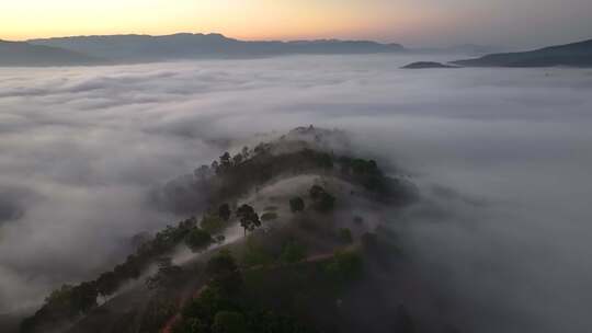 景迈山茶山云海日出