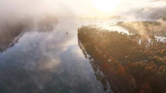 宁国 宣城秋天 落羽杉 山水中国 红杉林