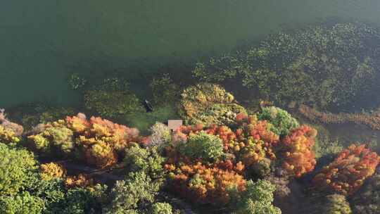 【精品】洱海泸沽湖抚仙湖秋天秋景秋色航拍