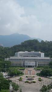 竖版视频福建莆田市政府莆田市人民政府