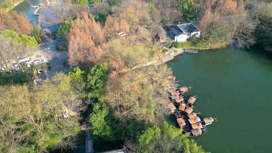 杭州市西湖区西溪湿地美景风景视频素材