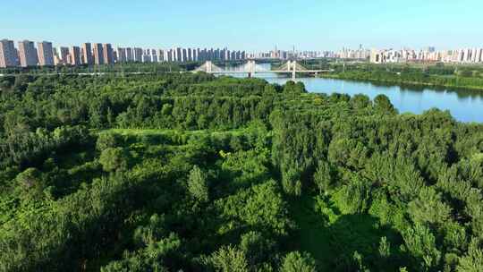 4K航拍沈阳云龙湖大桥城市发展浑河两岸视频素材模板下载