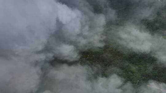 青岛崂山云雾
