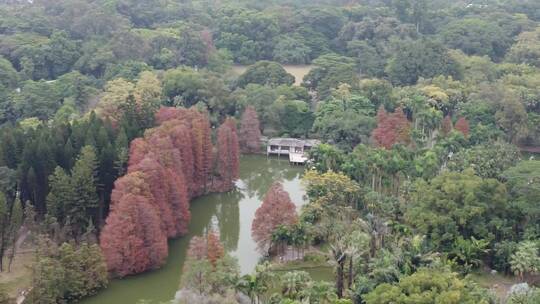广州华南植物园航拍视频素材模板下载