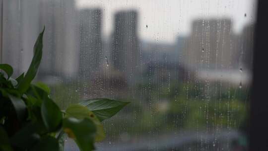 城市下雨天窗外雨滴滑落