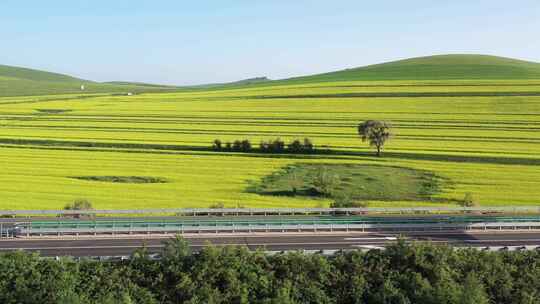 【航拍】草原风景 坝上草原