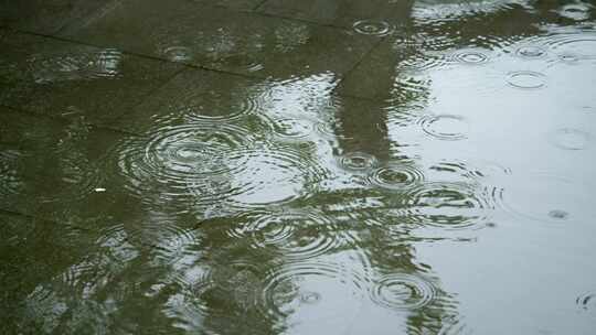 夏日雨季