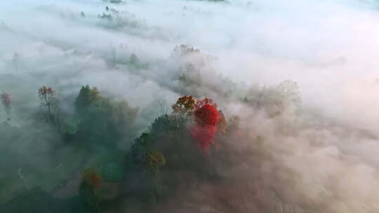 航拍山村的清晨云雾环绕秋色美景