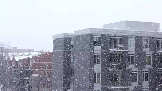 冬天雪花飘落建筑物大楼小区
