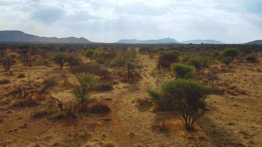非洲大草原航拍景观