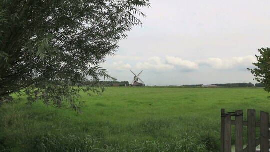 荷兰的草地和风车视频素材模板下载