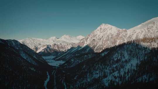 空中雪林