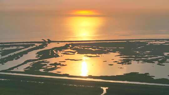 金色日出上海崇明岛东滩湿地全景