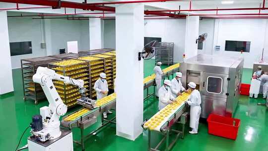 工厂工人操作流水线生产画面