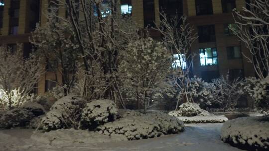 小区下雪夜景唯美飘雪