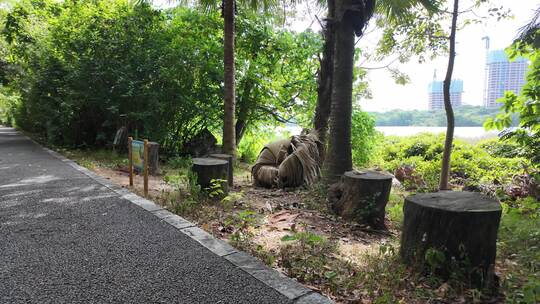 林间景区指示牌与地图