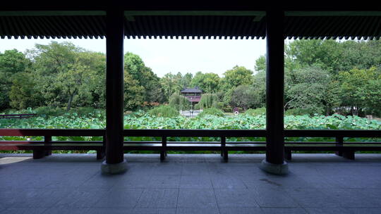 武汉汉阳区汤湖公园风景