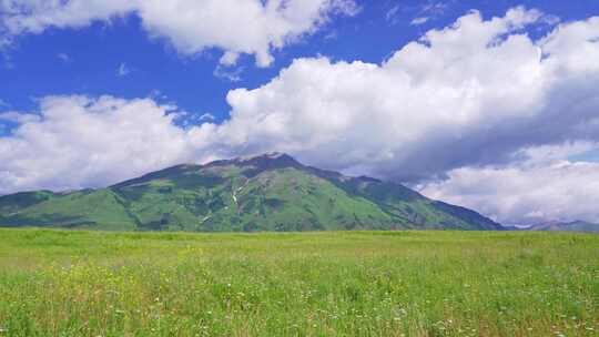 新疆北疆阿勒泰禾木村夏天高山草原自然风景