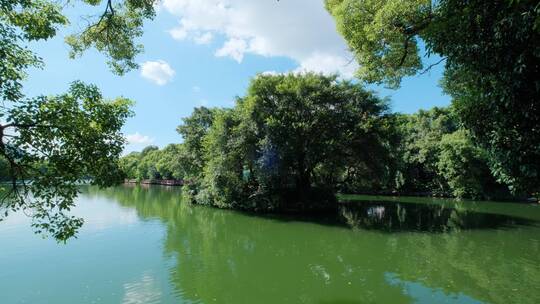 公园池塘边湖边风景 大树下 树荫下 湖水