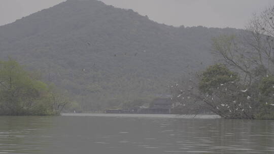 杭州湘湖实拍风景