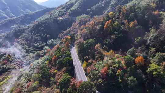 四明山 盘山公路 秋色 秋天 余姚