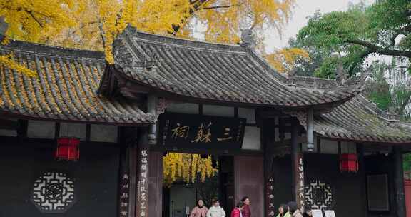 高清实拍四川眉山苏东坡故乡三苏祠