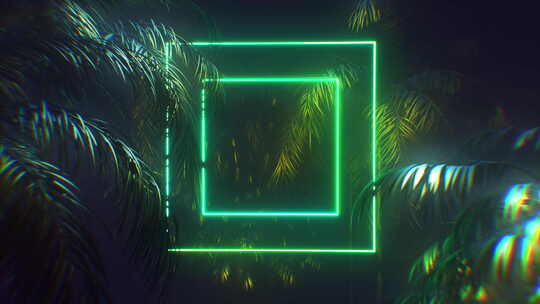 霓虹灯发光的框架被棕榈树包围视频素材模板下载